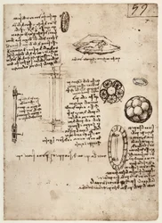 MS B 2173 f.59r, étude des armes militaires, 1488-90